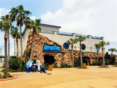 Aquarium kemah - 10 Kemah Boardwalk jobs available in Kemah, TX on Indeed.com. Apply to Cash Room, Mechanic, Barista and more!